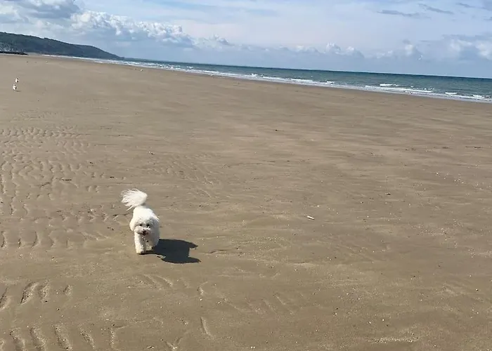 Superbe Vue Panoramique F3 Apartament *